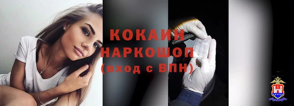 гашиш Богданович
