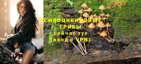 мяу мяу мука Беломорск