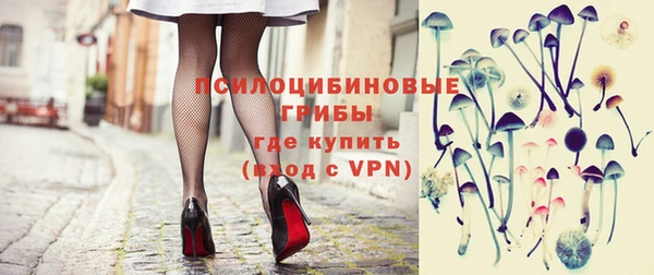 гашиш Богданович