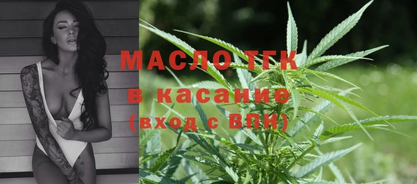 гашиш Богданович